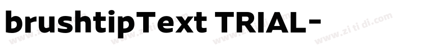 brushtipText TRIAL字体转换